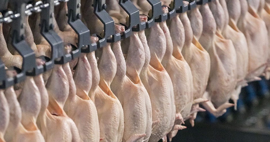 LLC “Mezheninovskaya Poultry Plant”